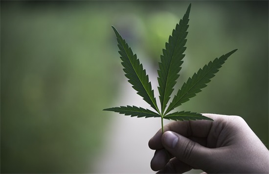 千古绝句最美的句子 千古绝句最美句子(精选84句)