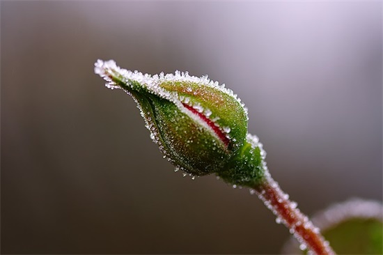 五四青年节说说一句话 适合五四青年节的朋友圈句子