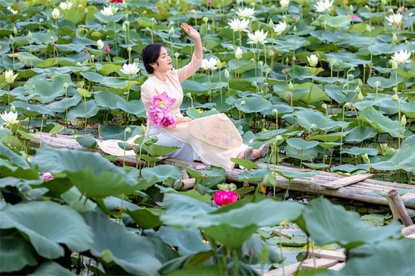 减肥吃什么蔬菜? 减肥吃什么蔬菜?