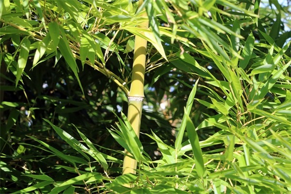 天津地铁一号线延长线什么时候通？