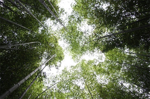 个性网名大全最新版 个性网名大全最新版