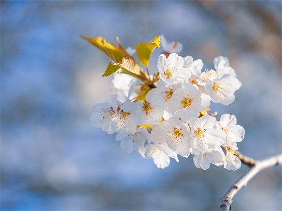 带教教师寄语 【带教教师寄语大全】 带教教师寄语 【带教教师寄语大全】