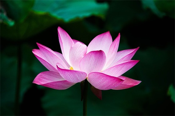 物业温馨寄语-100句 物业温馨寄语-100句