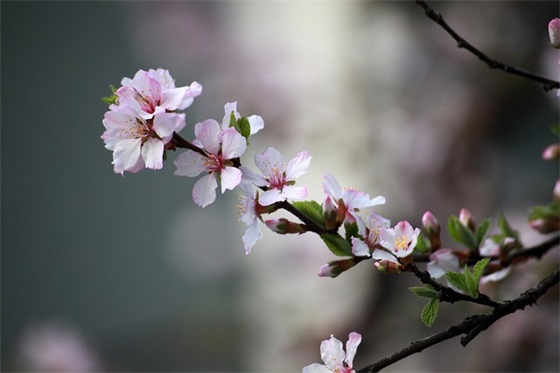 六一儿童节家长寄语简短 【六一儿童节家长的话】 六一儿童节家长寄语简短 【六一儿童节家长的话】