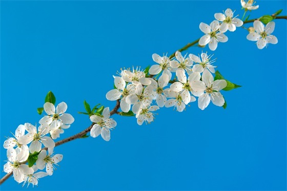幼儿园教师祝福孩子的成长寄语-44句 幼儿园教师祝福孩子的成长寄语-44句