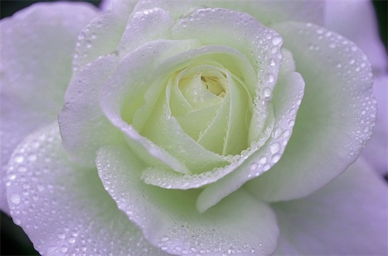 祝儿子儿童节快乐寄语-50句 祝儿子儿童节快乐寄语-50句