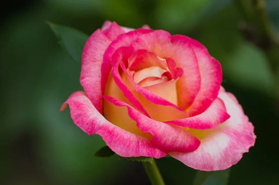 2025年中考励志口号71句