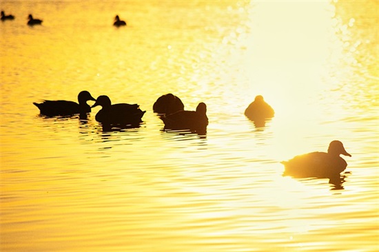 电话营销激励口号 电话销售口号