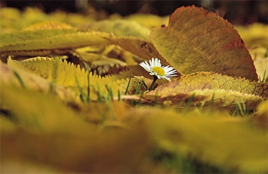 2025中国共产党成立100周年宣传标语