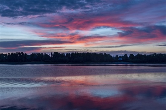 公司食堂爱惜粮食标语口号2025