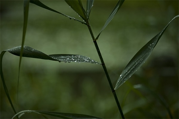 适合堵车的时候发朋友圈的经典说说锦集四十句