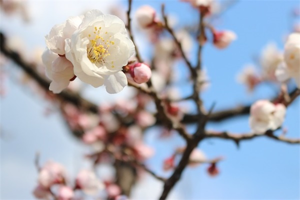 企业口号4个字-52句